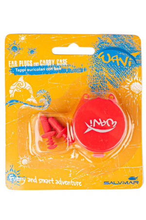 ������ FLUYD, ������� ��� ��������� �����, ������ � ��������� �������� �������.��