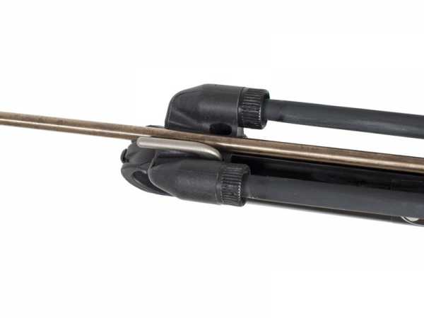      Scorpena   ,        .