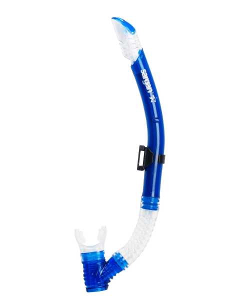   (+)   ,  SARGAN   ,     .