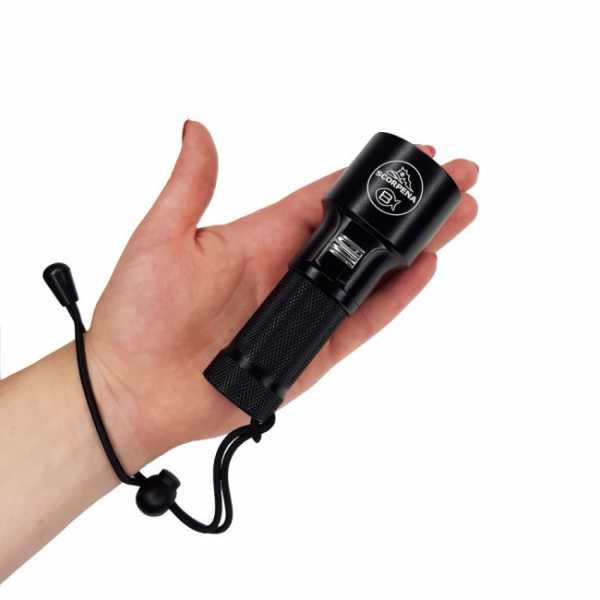  Scorpena B   ,     .