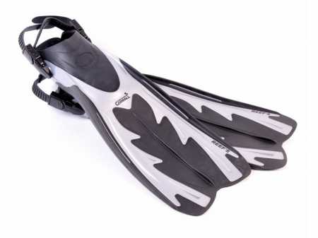  Sargan       ,     .