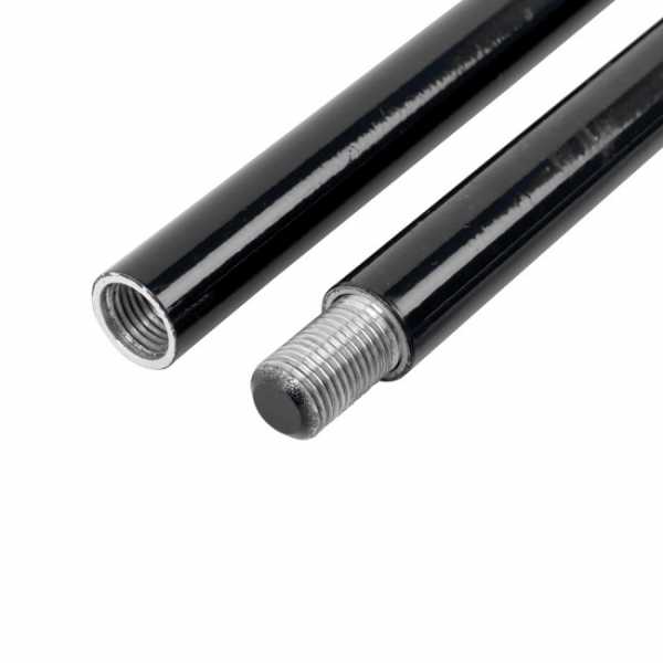      Scorpena   ,        .