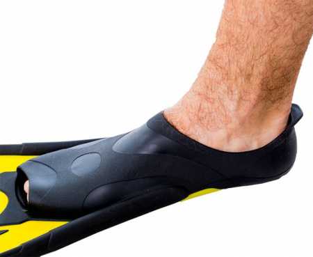  Marlin Miami   ,     .