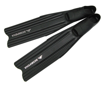  Scorpena A    ,     .