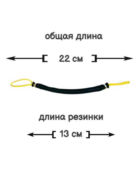          , --,  13  . Narwhal   ,        .