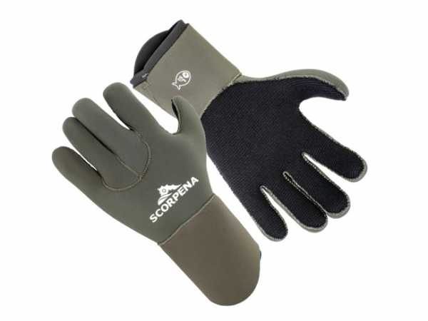   Scorpena E - 5 ,    ,        .