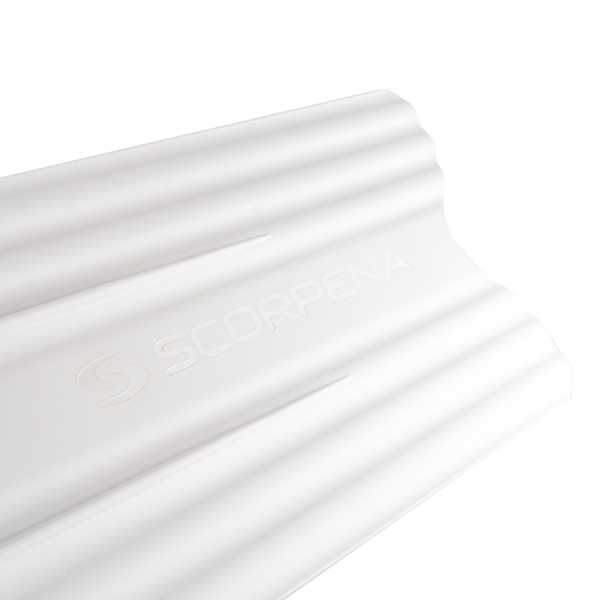  Scorpena A,    ,     .