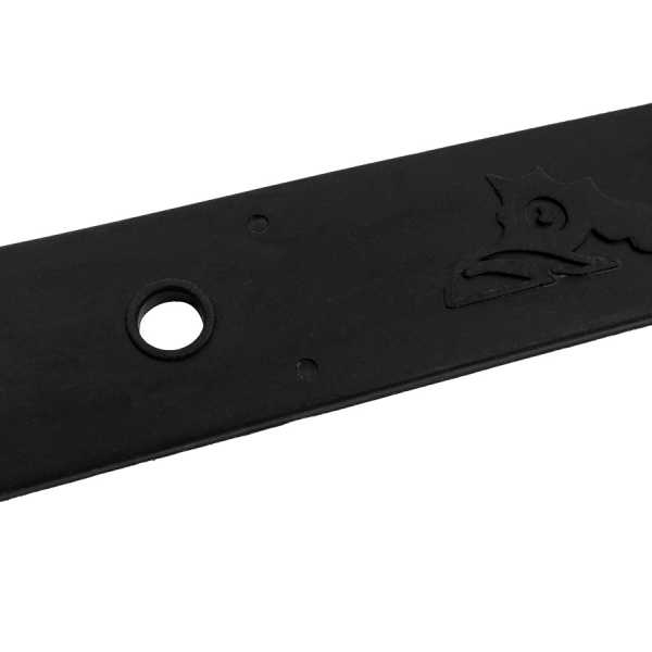   Scorpena Apnea    ,     .