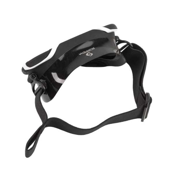  Scorpena Miami Junior, -.   ,     .