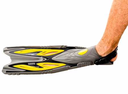    Marlin Florida   ,     .