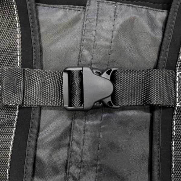    Scorpena, L   ,        .