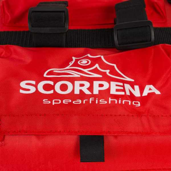 - Scorpena C Light   ,     .