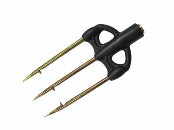   71,    Scorpena   ,        .